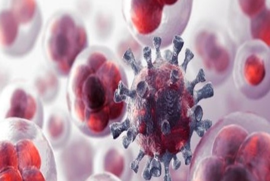 肿瘤|为什么有些人不易得癌肿瘤科主任他们可能有六个特点