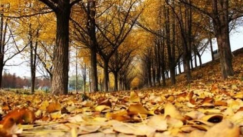 消化|立秋过后，多吃“两菜两果”，做好3事，助消化，脾胃舒服人轻松