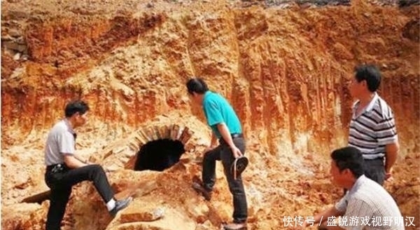 专家|农村一老汉猪圈频繁丢猪,无奈报警,专家赶到后却乐开了花