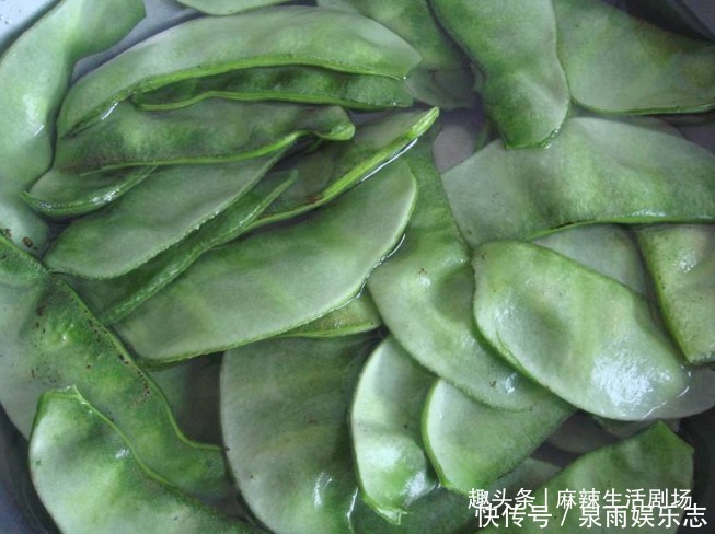 把扁豆放|我家一年吃几十斤,清脆鲜嫩,赶走湿气,家人常吃脾胃好