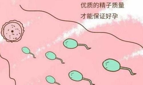 精子|结婚多年不孕,检查结果所有人看傻了眼,医生的话让两人红了脸