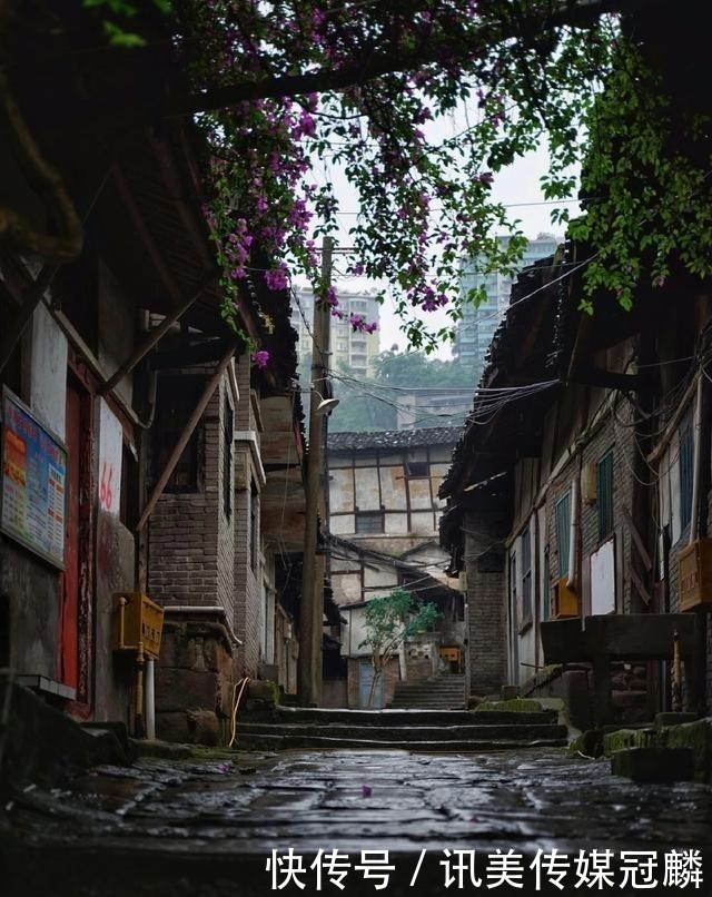 花儿|重庆长寿,春天的景色很迷人吗?