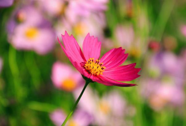 一个女人@真正聪明的女人,懂得“不闻不问”