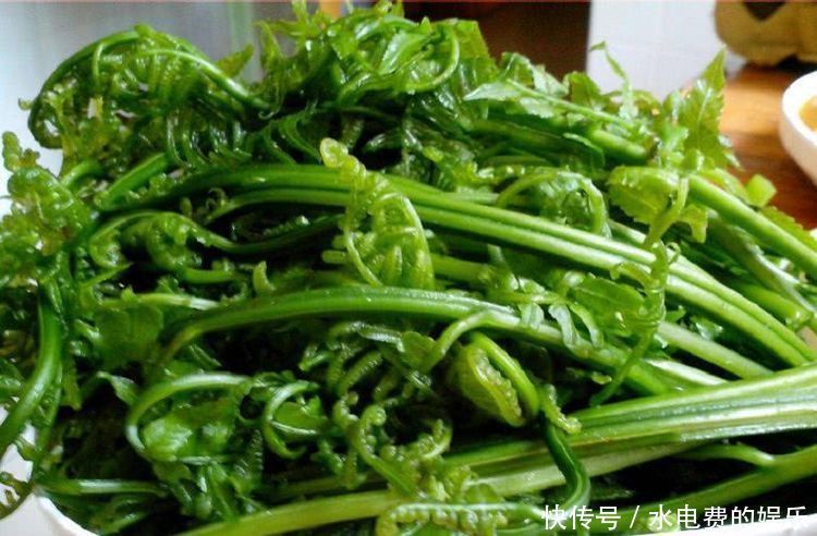 冬天养生常吃3种食物,清热排毒,刮油消脂,消除疲劳