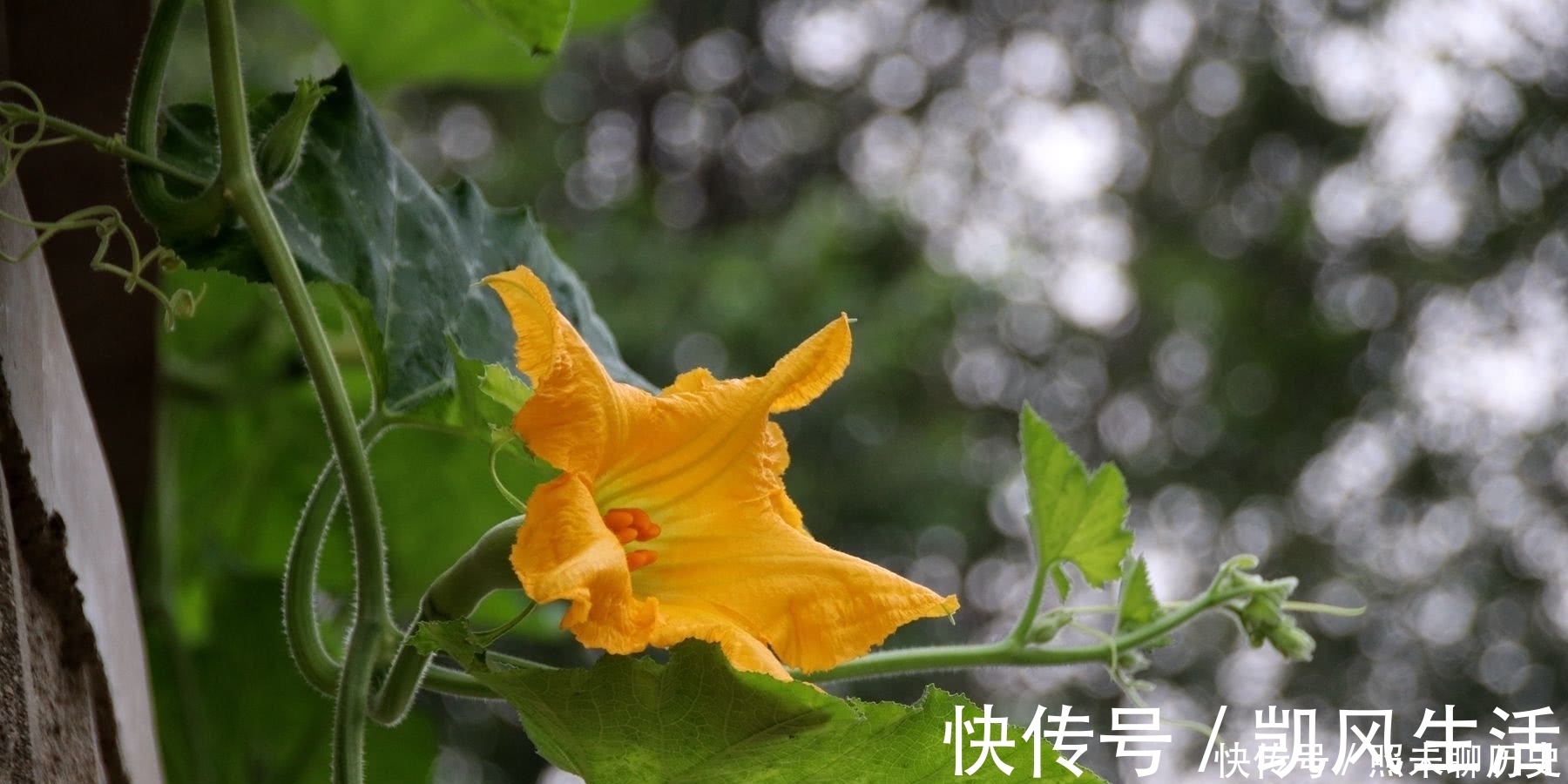 脾气|人若有这三个修养,就会让自己的内心变得越来越强大,无坚不摧