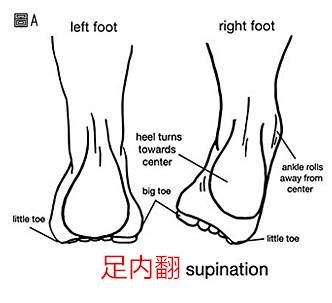 足内翻或足外翻到底是什么 快资讯