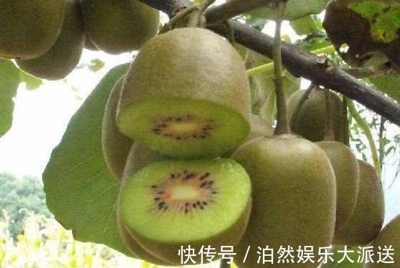 车厘子|最适合女性的夏季水果，淡斑美白容颜常驻，值得分享