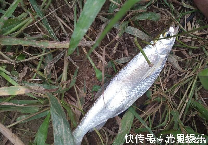别人钓到鱼，你却钓不到，原因都在这里了，想知道的别错过