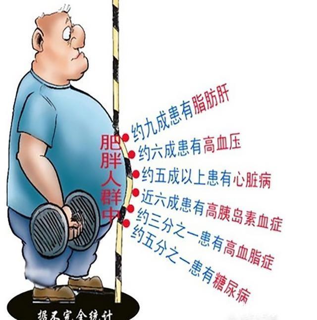 力量训练|练肌肉会折寿？无知不可怕，可怕的是无知又自豪