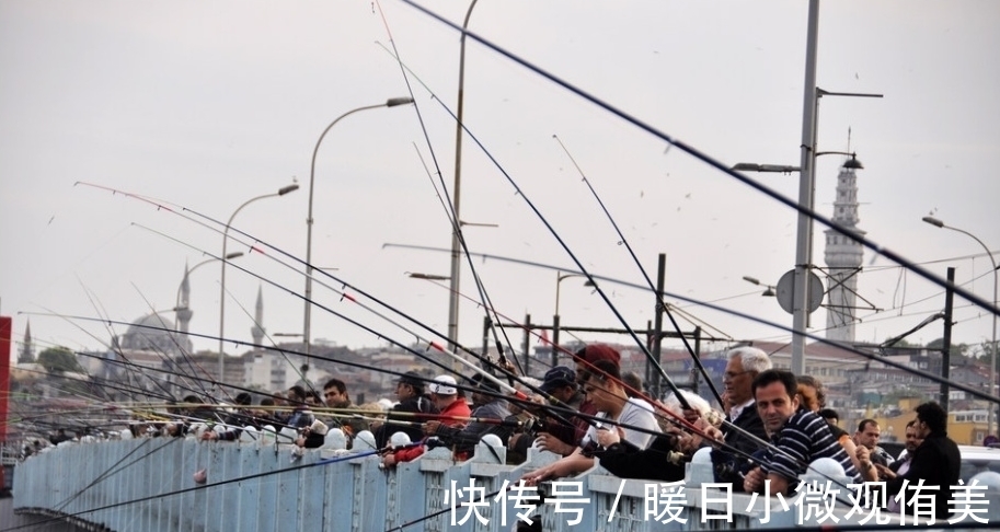 大鱼|嫩玉米挂钩,再配合“带漂远投”的技巧,人群中“抢鱼”特容易