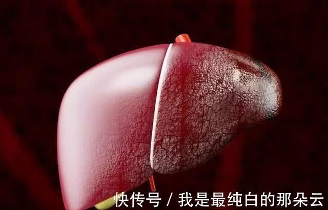 长寿|寿命长的女性，一般有“3软3大”，若你全都占有，恭喜咯