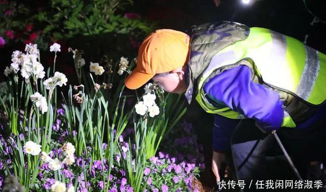 地球一小时︱探秘自然之夜,为地球发声