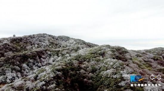 马天龙|无人机航拍下的金佛山：漫山雾凇如画