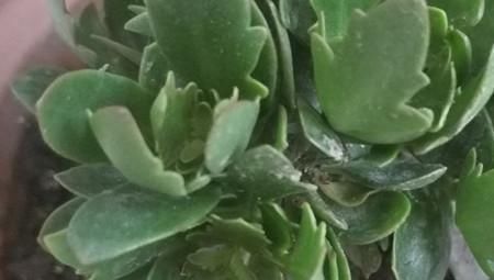 还把孩子饭量大当好事请留意,当心出现这些情况