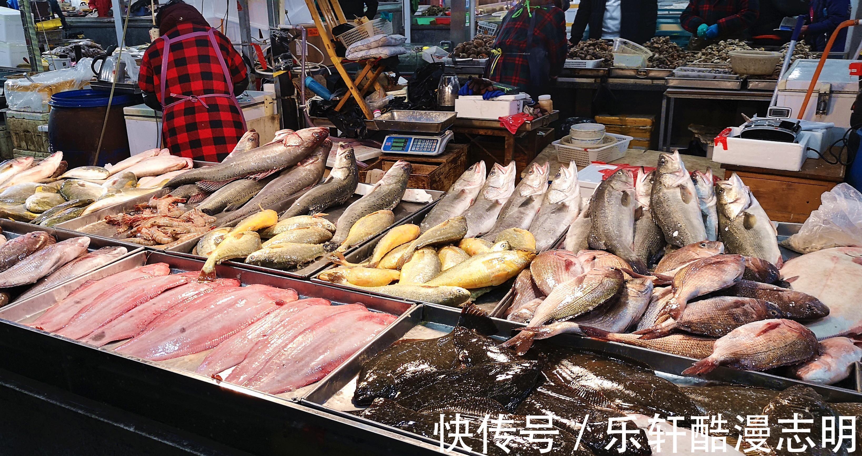 肉类食品|冬季遇到这鱼，我准买2条，肉厚刺少，营养极高，家家户户吃得起