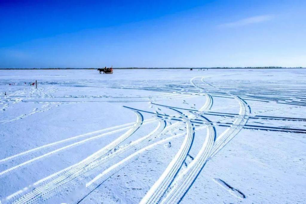 覆盖上白雪|进入冬天的世界，花雪随风不厌看