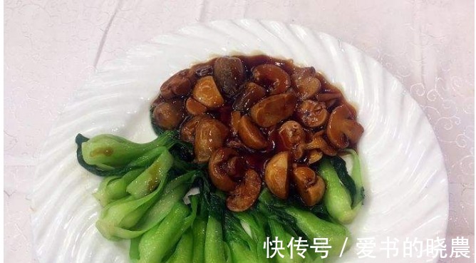 鲜香味美的几道家常菜,荤素搭配营养美味,为家人做起来!