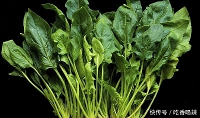 “圆叶菠菜”和“尖叶菠菜”有啥区别？菜农：差别很大，别挑错了