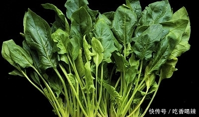 “圆叶菠菜”和“尖叶菠菜”有啥区别?菜农:差别很大,别挑错了