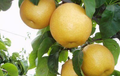  滋阴|女性想要肌肤好，常吃3种食物，滋阴润燥，排毒护肤，肌肤更白嫩