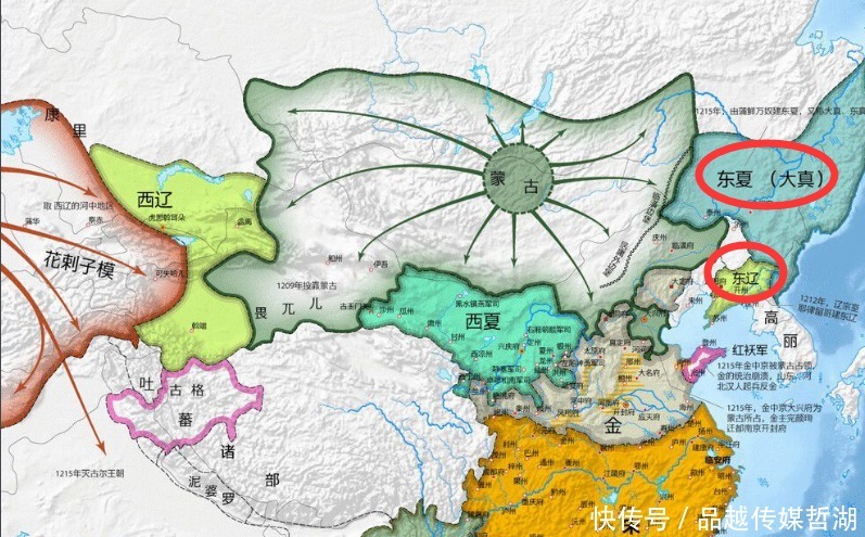 冰天雪地|为什么金国在灭亡前,残余势力没有像辽国那样西迁或者北迁建国?