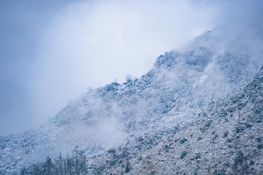 一大|德阳各地雪景美照大曝光！隔壁城市都羡慕哭了！一大波视频照片……