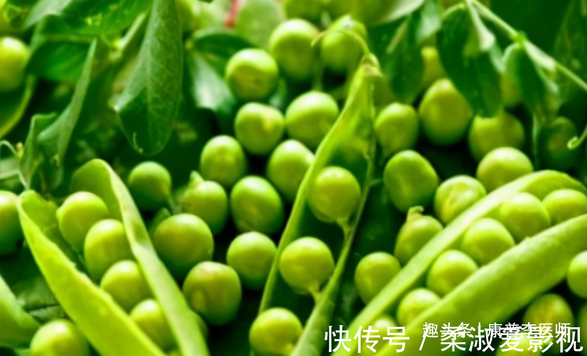 活血|夏天预防肌肤早衰，吃好的食物，细腻皮肤，排毒润肠，活血滋阴