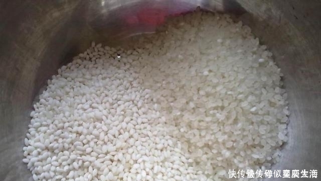 糯米|糯米和它一起煮,简直是绝配,醒脾悦神,关键省事还好吃!