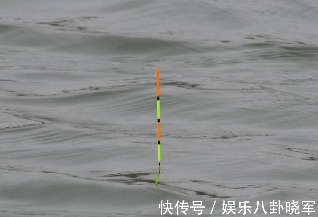 加粗尾的浮漂这样用,灵敏度丝毫不输细尾漂
