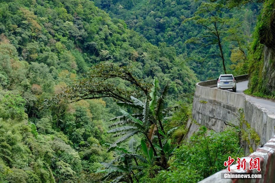 西藏墨脱公路|通往“莲花秘境”的西藏墨脱公路