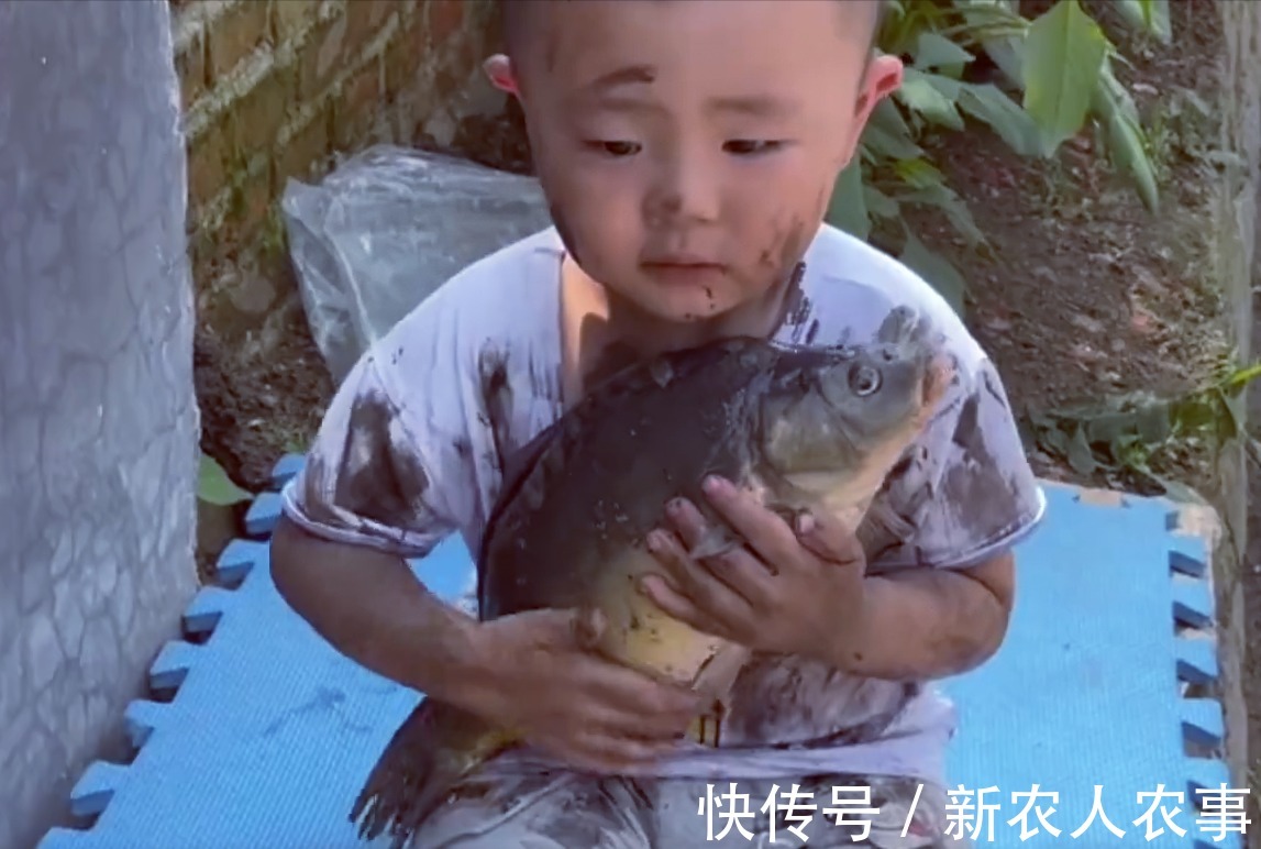 萌娃|萌娃不想鱼被卖掉，抱起来就往家跑，一系列神操太有爱了