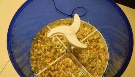 吊篮|家里最没用的8件家电家具,再有钱也别买,我家真倒霉中了5个!