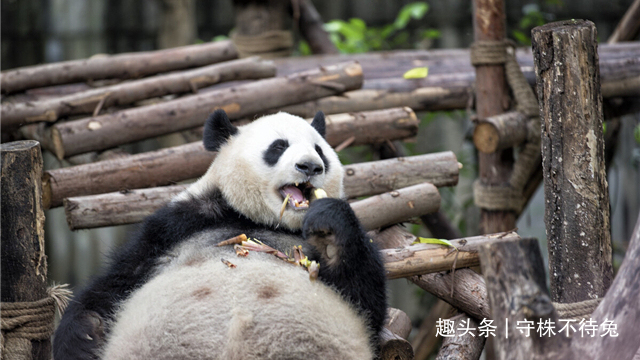 25个冷知识不大可能知道，但却真实存在着的奇怪知识