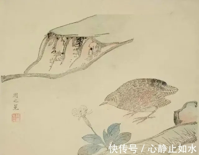 紫燕!佳人过小桥,隔岸谁家吹玉笛,春风含笑柳千条