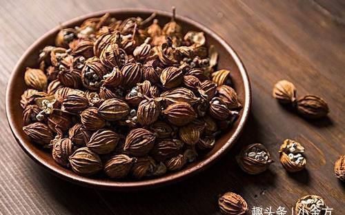 气机|顺气第一药,心、肝、脾、肺、肾之气统统理顺,太珍贵了