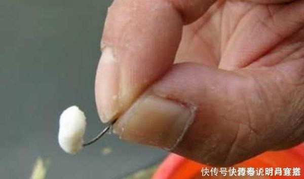 鲫鱼|钓大板鲫饵料配方,便宜且简单,关键还是效果好,适合秋季使用!