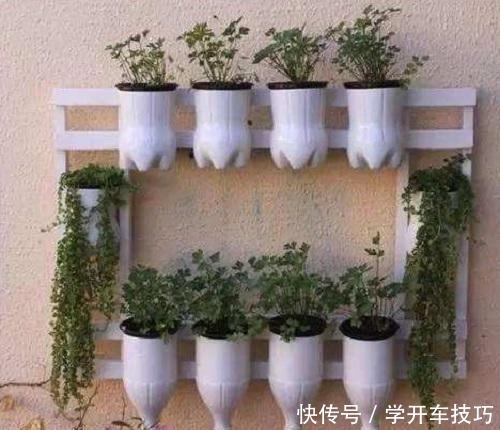 花盆|大妈养花一分钱没花,花和花盆都是“捡的”,真是让人想不到!