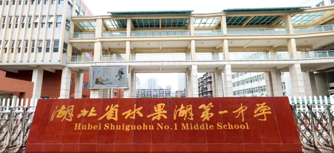 学校|民办摇不上能否回公办对口？武汉有这些优质公办初中