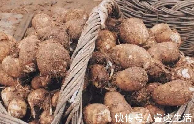 鸡蛋|糖尿病人吃鸡蛋,可以吃蛋黄吗?忠告:真正要少吃的是几种常见菜