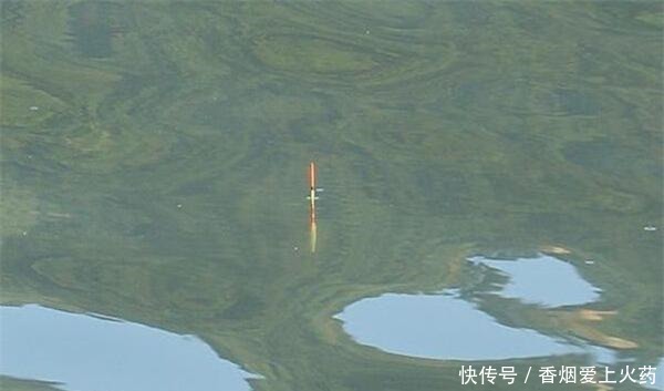 冬季钓鲫鱼,这些漂相是有效漂相,出现赶紧提竿,注意抓小放大