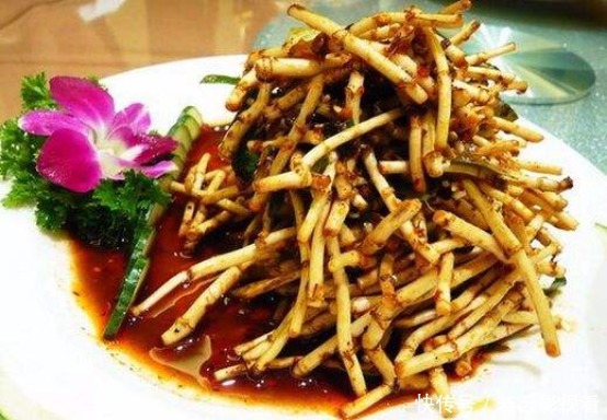 分钟|教你几道美味有营养的家常菜,简单易学还不贵,一上桌都爱吃!