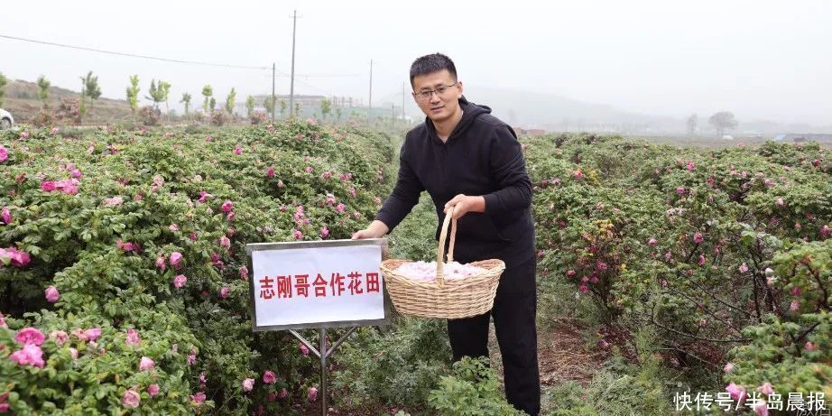 太突然！这个男人在大连出名了，你再忙也要看看