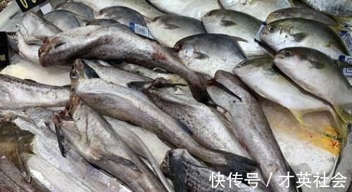 被人误解最深的鱼,因冷冻被人嫌弃,其实它比鲅鱼香,比鲫鱼营养