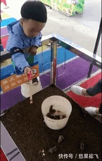 |搞笑GIF：这鸟是饿急了，才冒险来头人类的食物