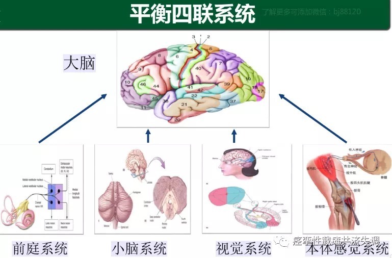 现代医学|共济失调不可怕，可怕的是你不相信可以治疗