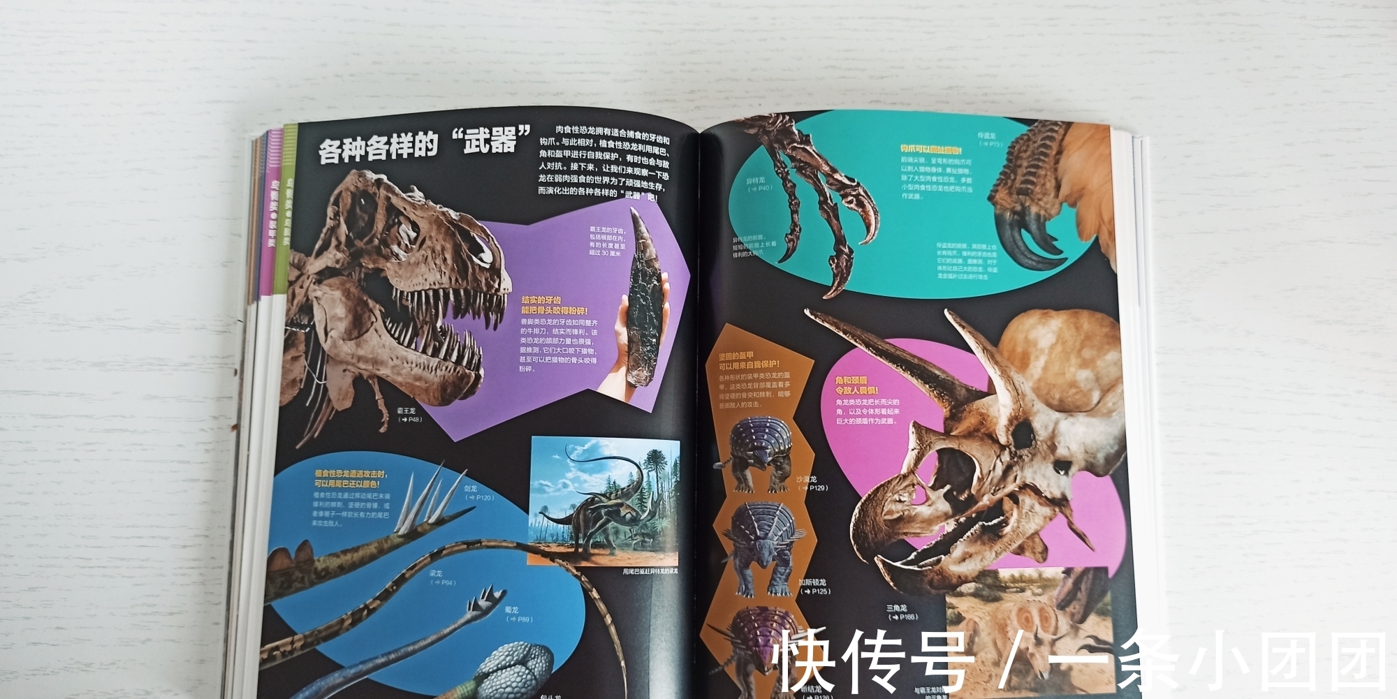 哆啦a梦#一本关于恐龙的百科书,让孩子爱上恐龙的世界