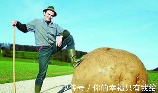 美国神秘的巨菜谷,这里种的蔬菜比人还大?科学家在地下找到元凶