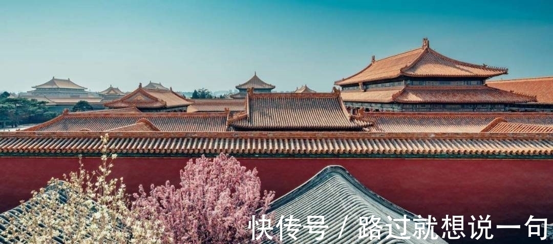 吐芳&晚唐诗人很经典的一首牡丹诗,赞颂农民领袖天下无双,豪气纵横