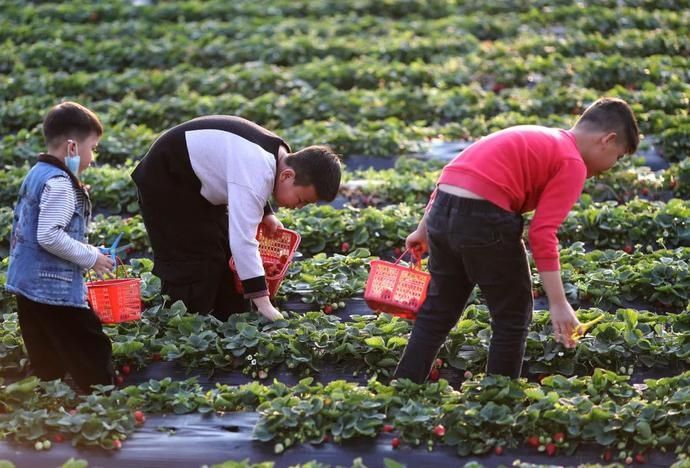 中年|春节假期怎么过？一起来看玉林侬的花样玩法——