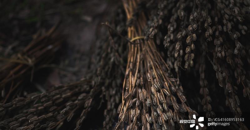 炖肉|普通的黑芝麻, 竟然治好了5种疾病, 这种吃法老中医也推荐!
